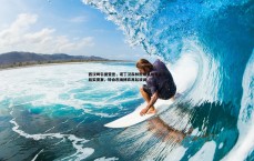 球探体育-西汉姆引援受挫，诺丁汉森林拒绝桑加雷先租后买提案，转会市场博弈再起波澜