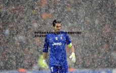 球探体育-伊萨克缺席英超首轮引风波，镜报曝纽卡斯尔将内部罚款