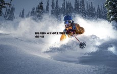 球探体育-利雅得胜利申诉成功重燃亚冠希望，联赛格局或迎转折