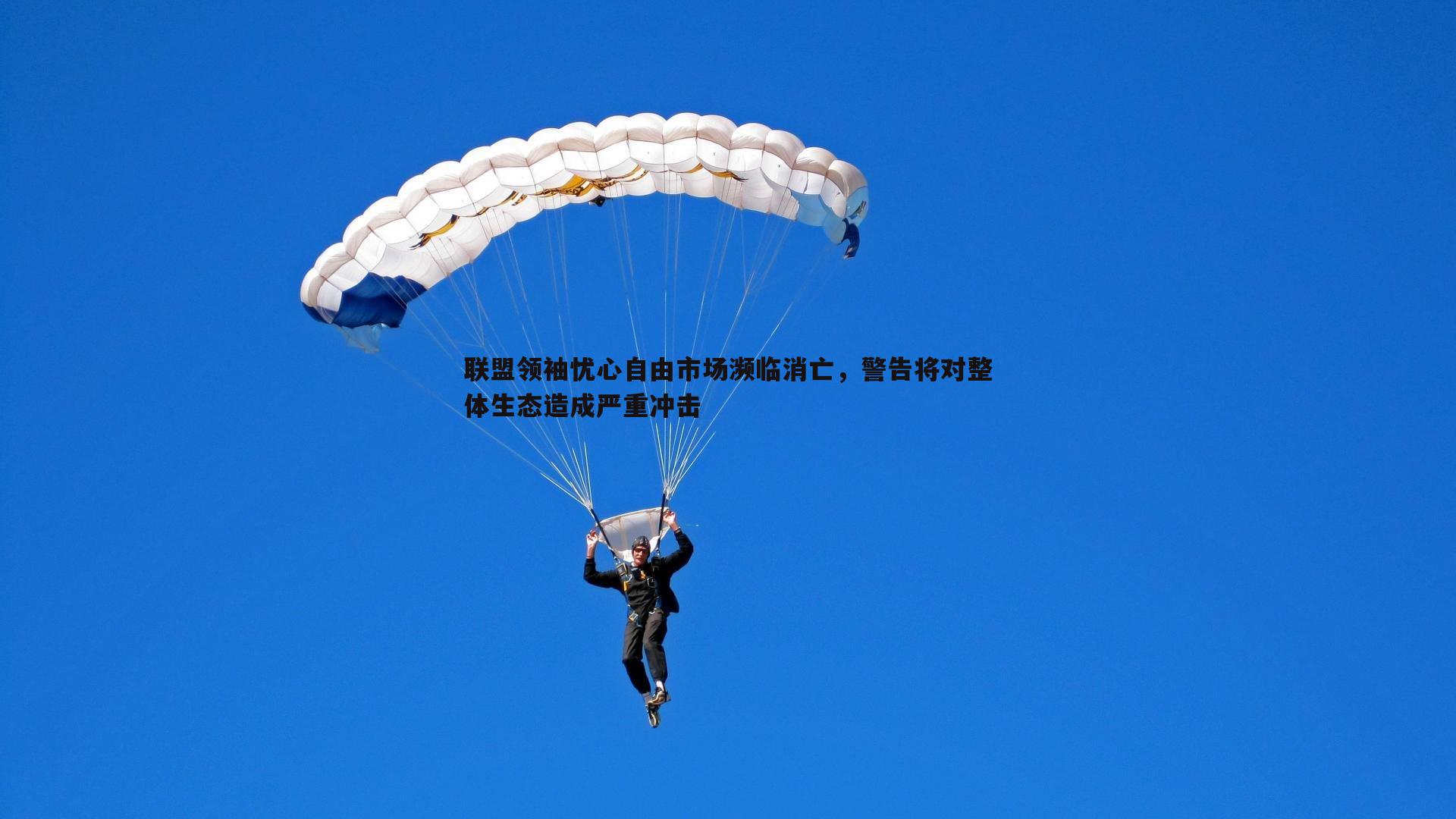 联盟领袖忧心自由市场濒临消亡,警告将对整体生态造成严重冲击