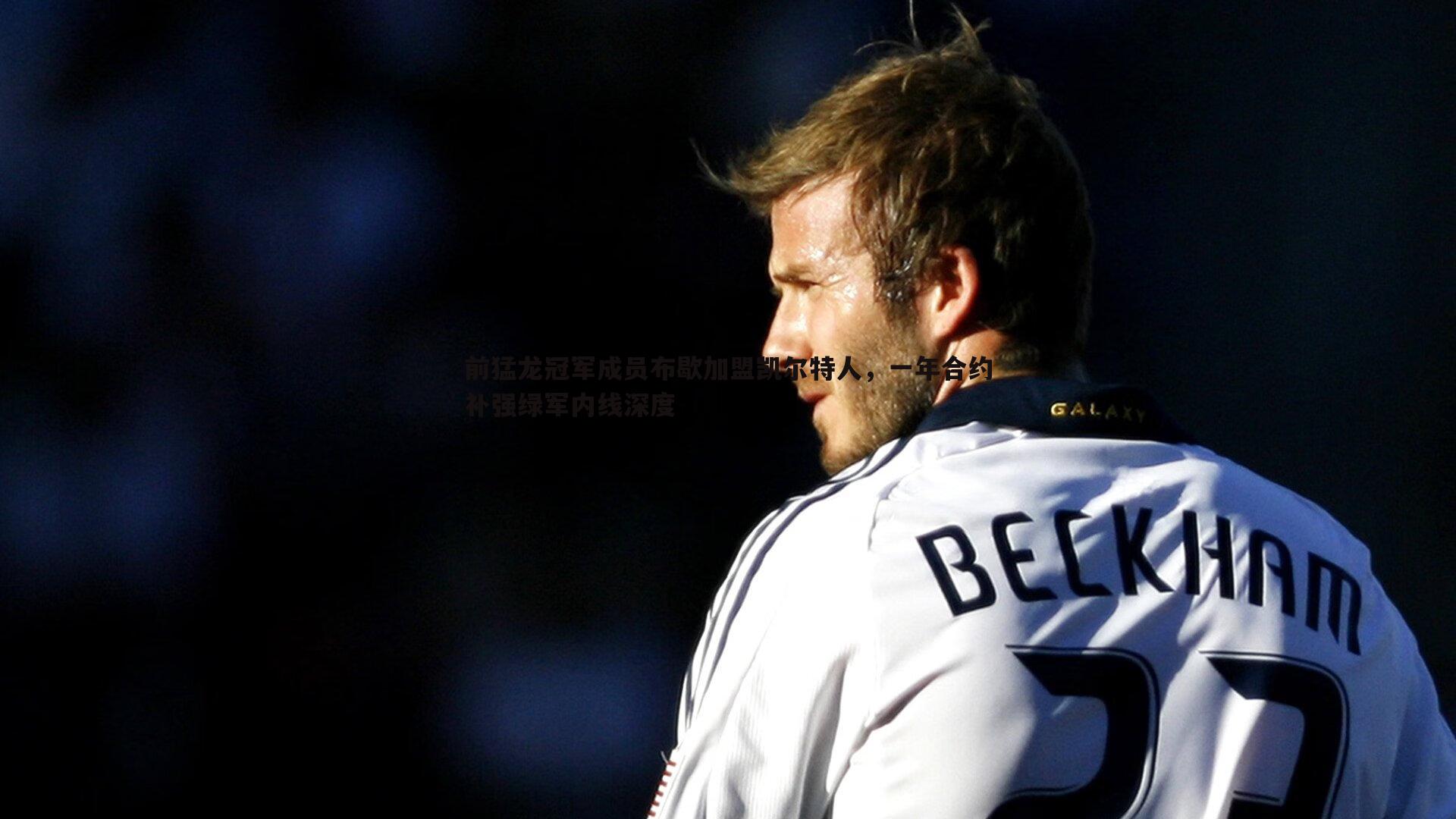 前猛龙冠军成员布歇加盟凯尔特人，一年合约补强绿军内线深度