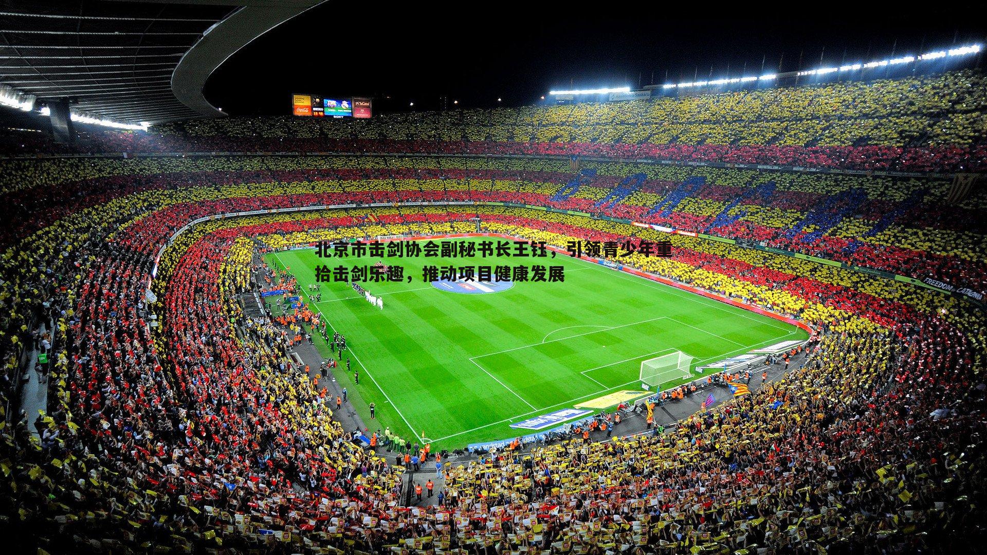 北京市击剑协会副秘书长王钰,引领青少年重拾击剑乐趣,推动项目健康发展